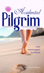 Accidental Pilgrim Cover Small